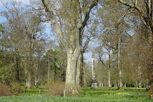 War Memorial At Mount Stuart