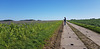 IMG-20241012-WA0005