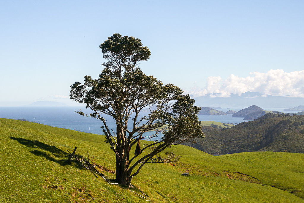 Top of Manaia road