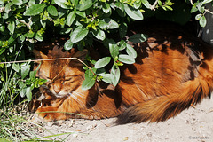 Caithlin in the shade