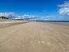 Exceptionally busy morning at Findhorn beach today!