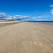 Exceptionally busy morning at Findhorn beach today!