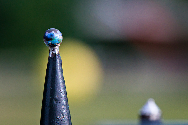 The world in minature The world in minature