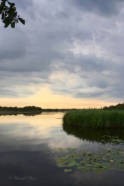 Morningwalk near the Ankeveensche Plassen... 3