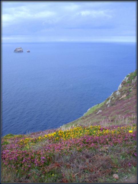 Cornish coast