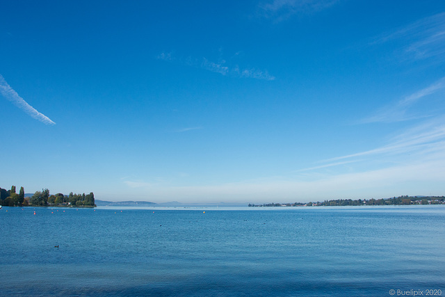 am Untersee (Bodensee) bei Ermatingen (© Buelipix)