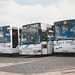 Neal’s Travel coaches at Isleham – 22 Feb 1998 (380-14)