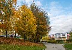 Herbst in der Friedrich-Viertel-Straße