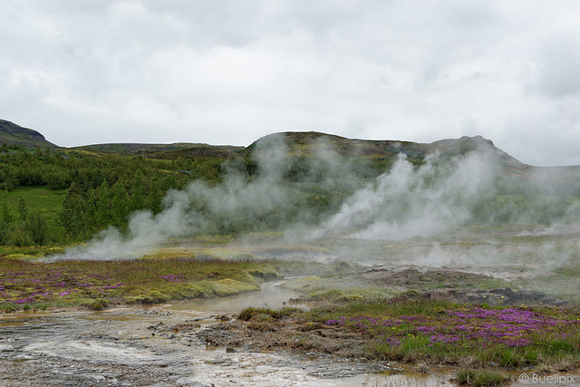 beim Geysir Strokkur (© Buelipix)