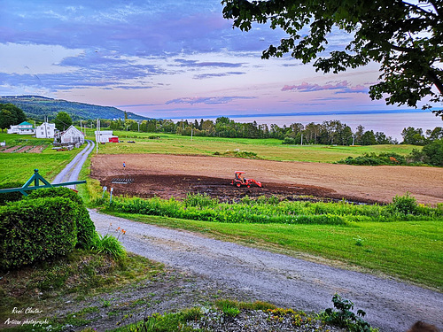 La terre du plateau