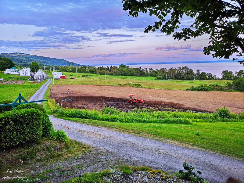 La terre du plateau