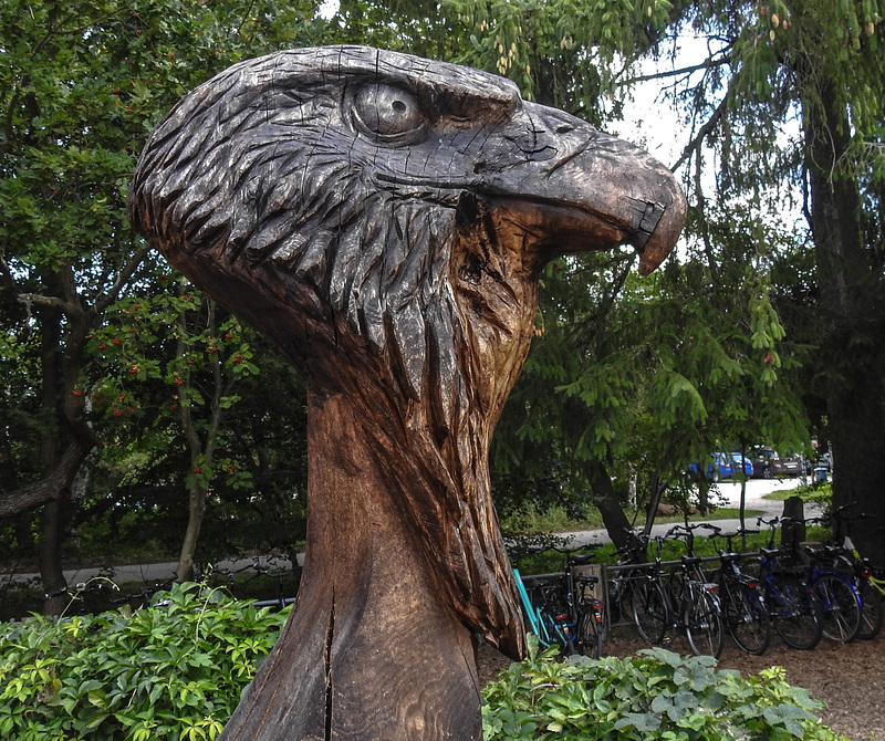 20190902 5715CPw [D~VR] Adler, Skulptur, Sundische Wiese