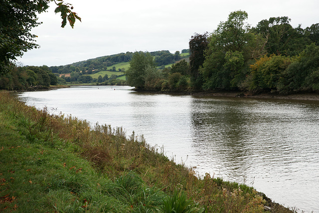 River Dart At Totnes