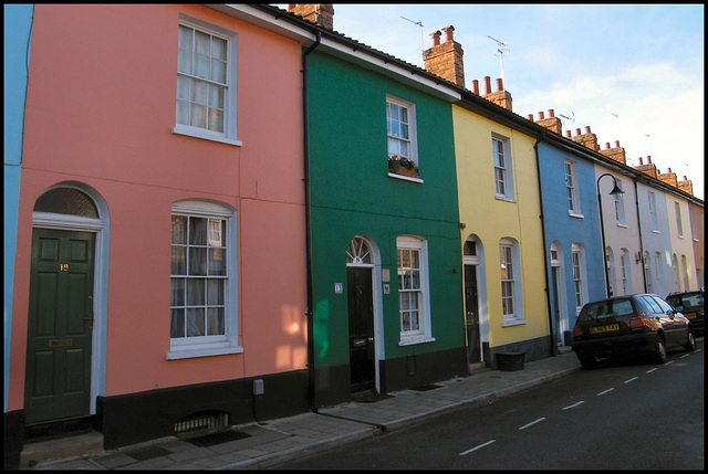 raucous painted houses