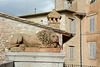 Italy, Assisi, The Lion on the Square of Santa Chiara