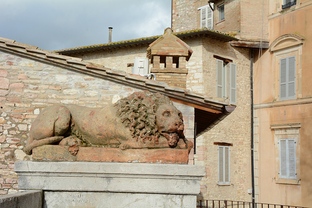 Italy, Assisi, The Lion on the Square of Santa Chiara Italy, Assisi, The Lion on the Square of Santa Chiara
