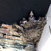 Swallows' nest.