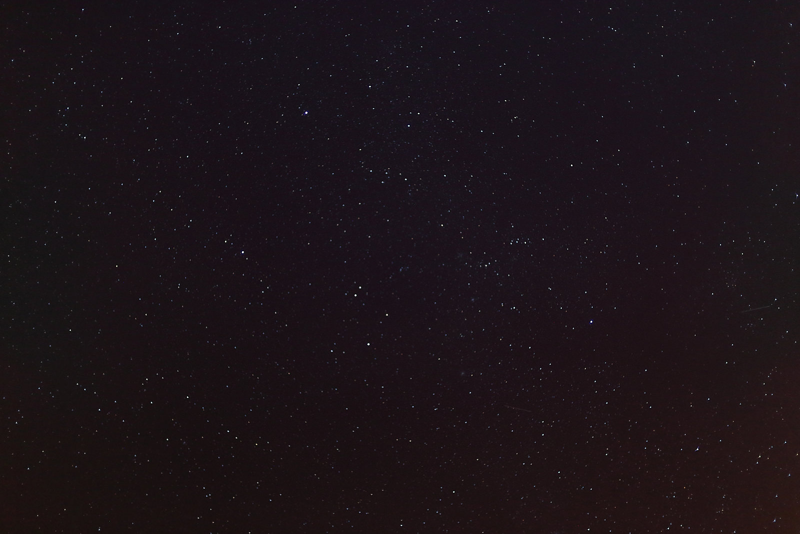Auriga