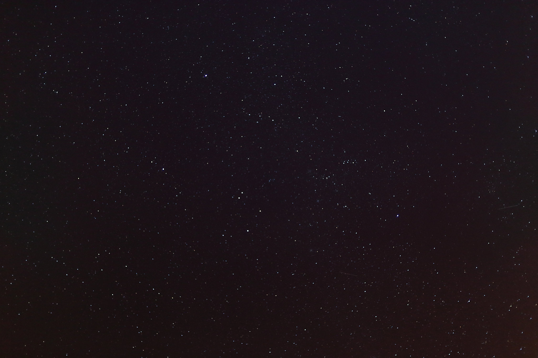 Auriga