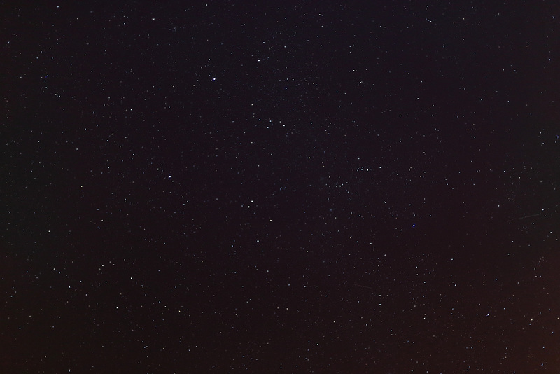 Auriga