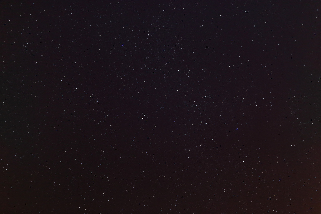 Auriga