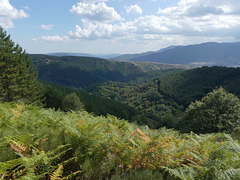 20180910 -15 Randos solo Prévenchères (Lozère-Villefort) (567) al