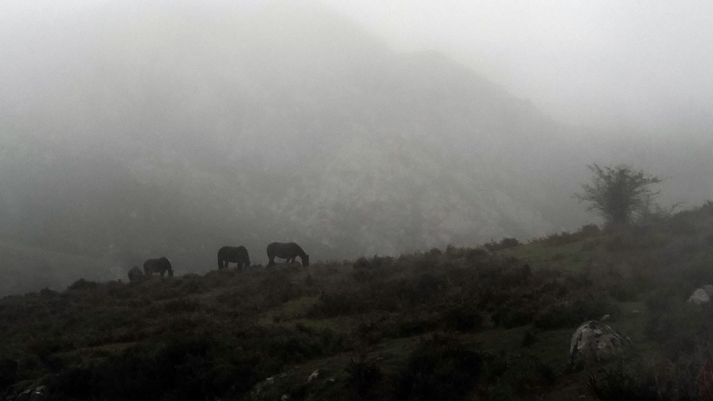 Picos de Europa, Lago Enol