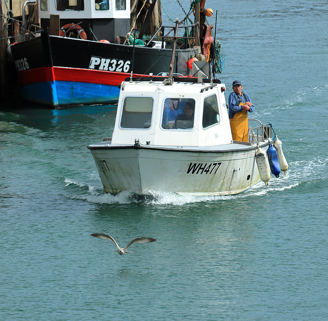 EOS 90D Peter Harriman 13 06 15 41162 trawlers dpp