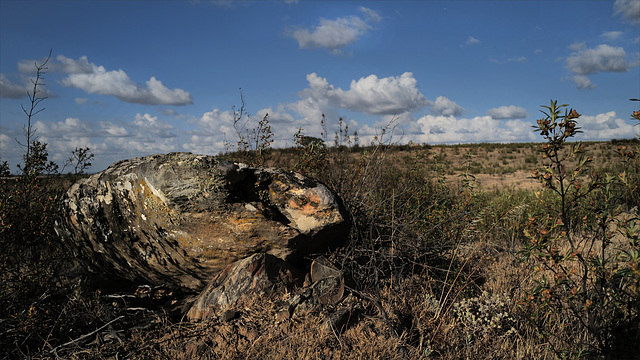 Penedos, Nested Bird Boulder HBM