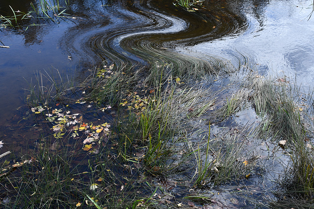 le serpentin du lac