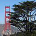 Golden Gate Bridge (3053)