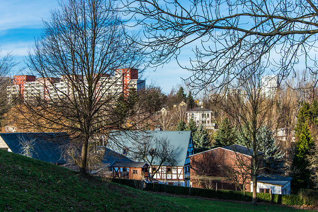 (360/365) Nachmittagsspaziergang ...