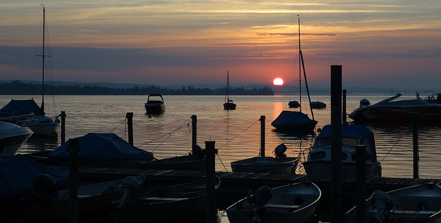 Lake Constance sunrise