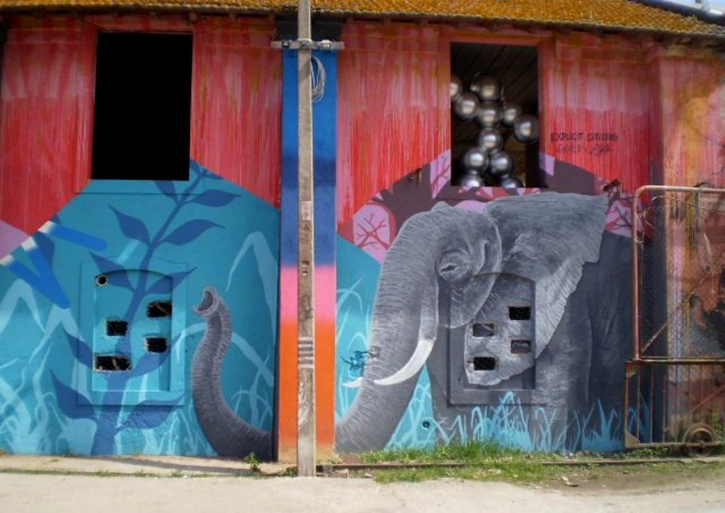 Elephant on the wall.