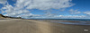 Exceptionally busy morning at Findhorn beach today!