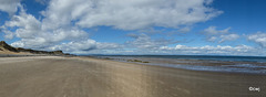 Exceptionally busy morning at Findhorn beach today!