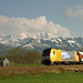 BÖ0028443
