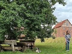 die rote Leine (2)