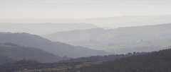 Derwent valley layers