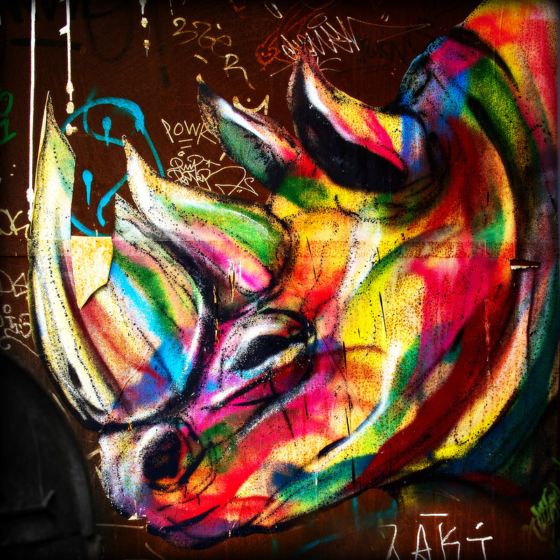 multi-colored rhino