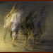 on the move