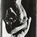 In de palm van mijn hand 2