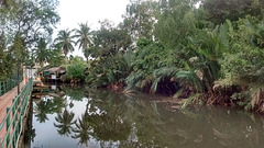 Nature et rivière / Nature along the river