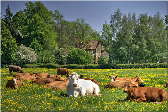 Ickford, Oxfordshire