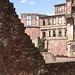 Ruinenfassade Schloss Heidelberg