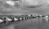 Saumur (49) 7 juin 2013. La Loire à très haut débit!!!