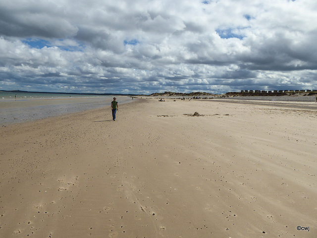 Exceptionally busy morning at Findhorn beach today!