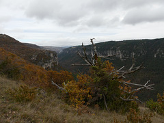 20211111 -21  Lozère (5)