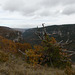 20211111 -21  Lozère (5)