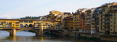 ponte vecchio PIPs